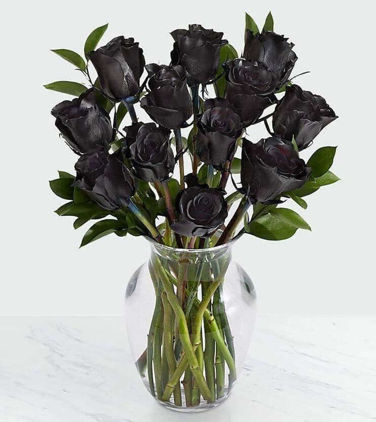 12 Black Long Stem Roses Arrangement™