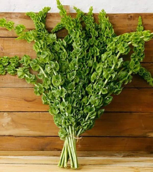 Bells Of Ireland Bouquet™