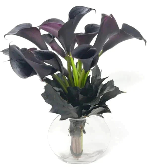 Black Elegance Mini Calla