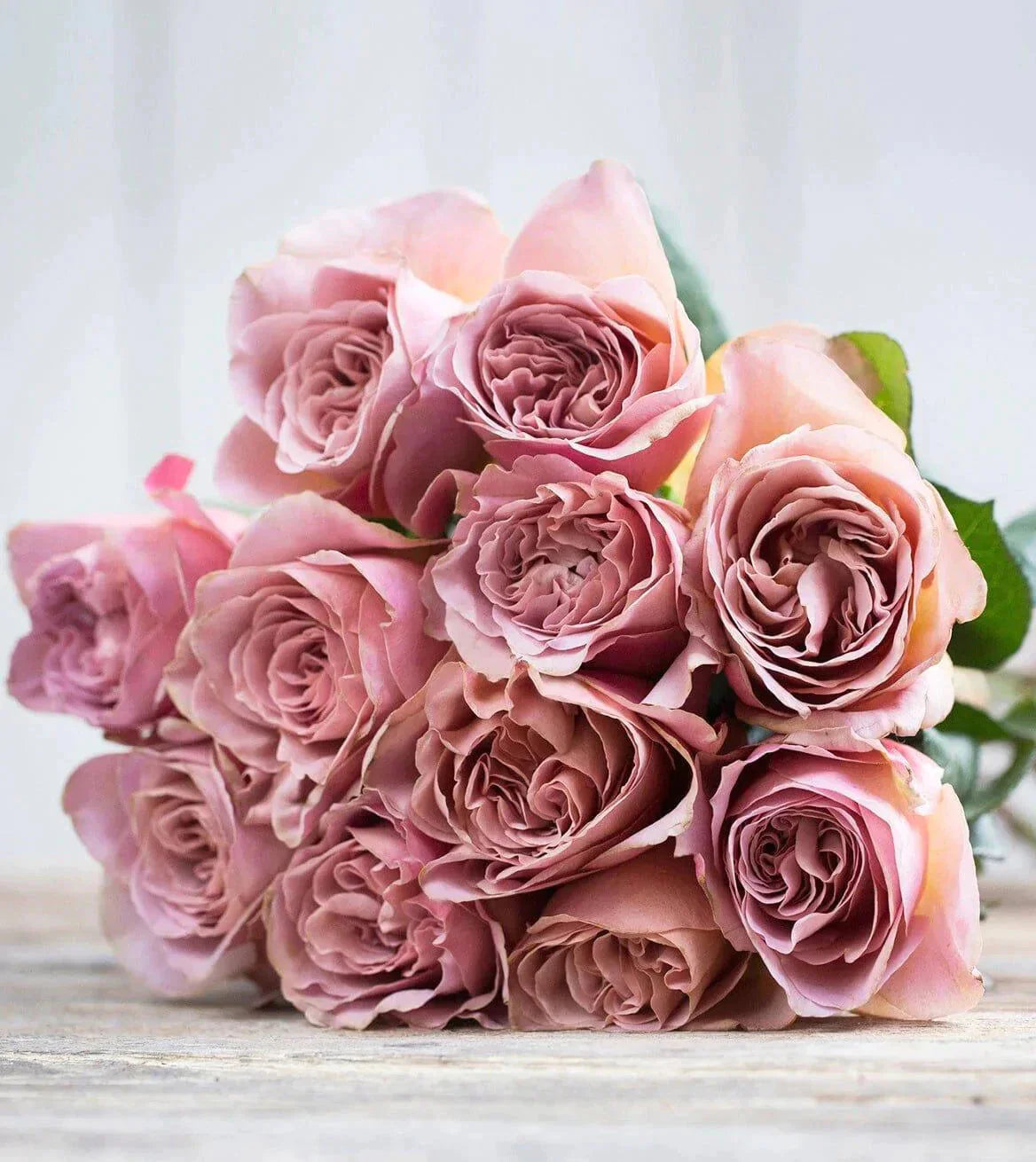 Cafe Latte™ Scented Garden Rose Bouquet Toronto Flower Co.