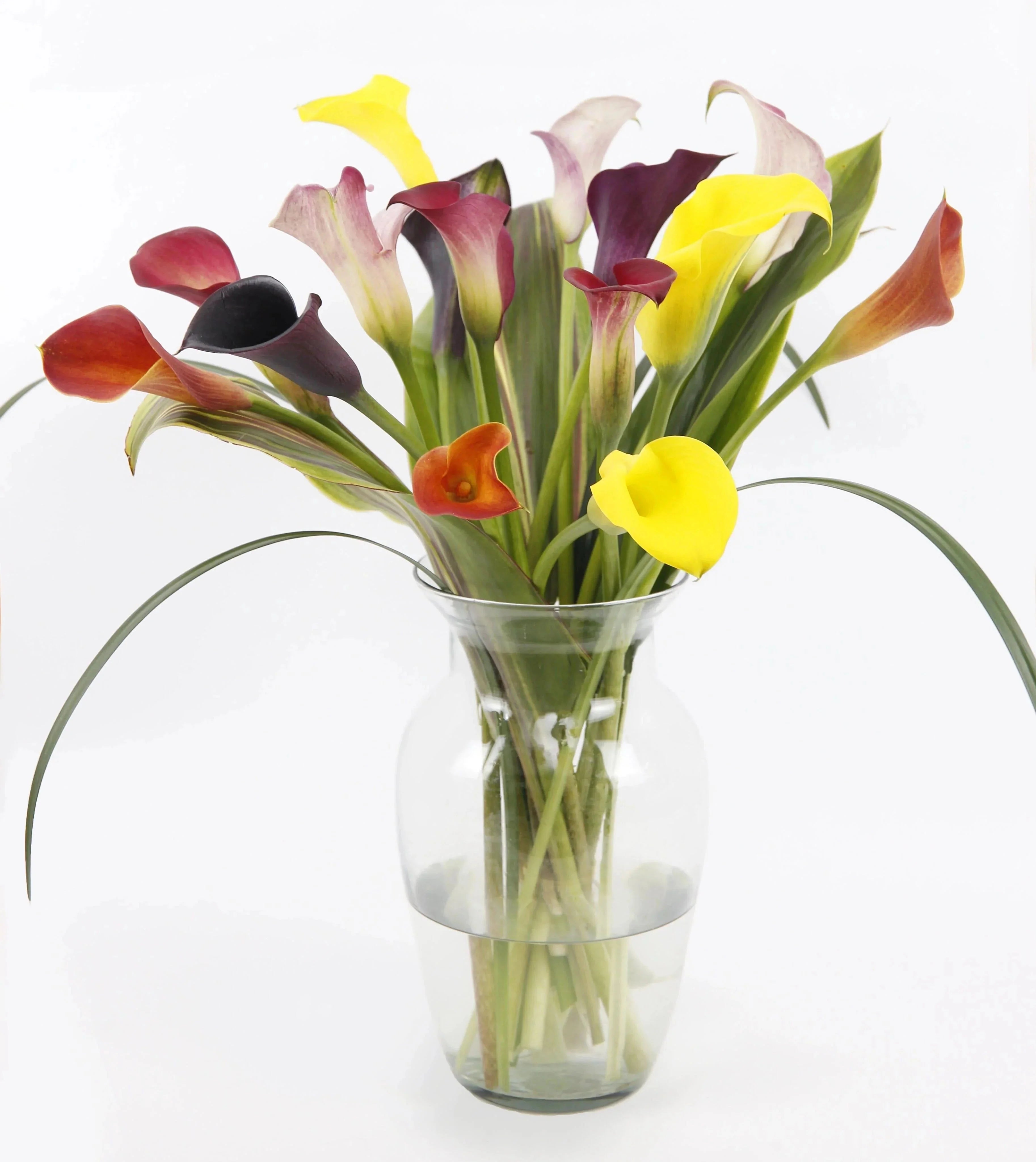 Captured Color™ Calla Lily Bouquet