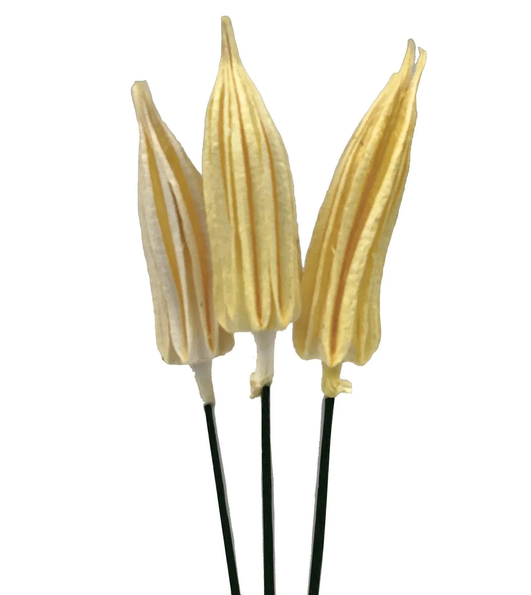 Chilli Pick Yellow