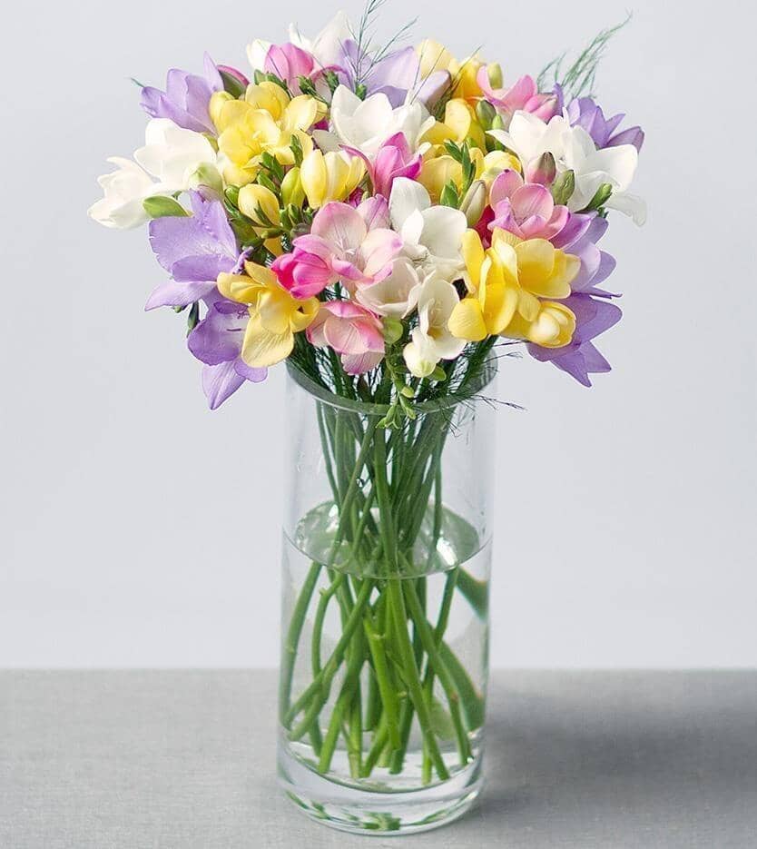 Fragrant Freesias - vase of freesias