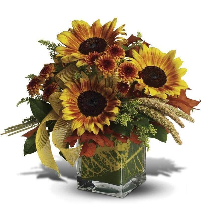 sunflower bouquet - sunflower bouquet in a vase