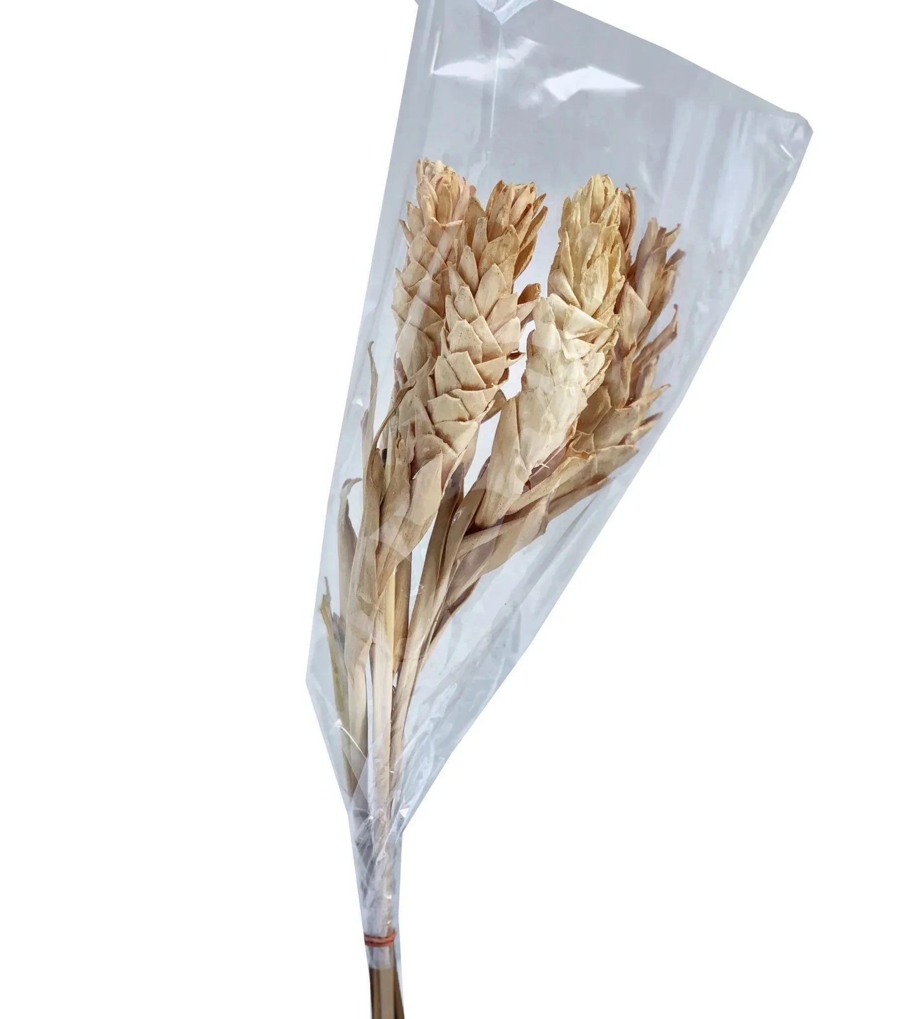 ginger flower bleached