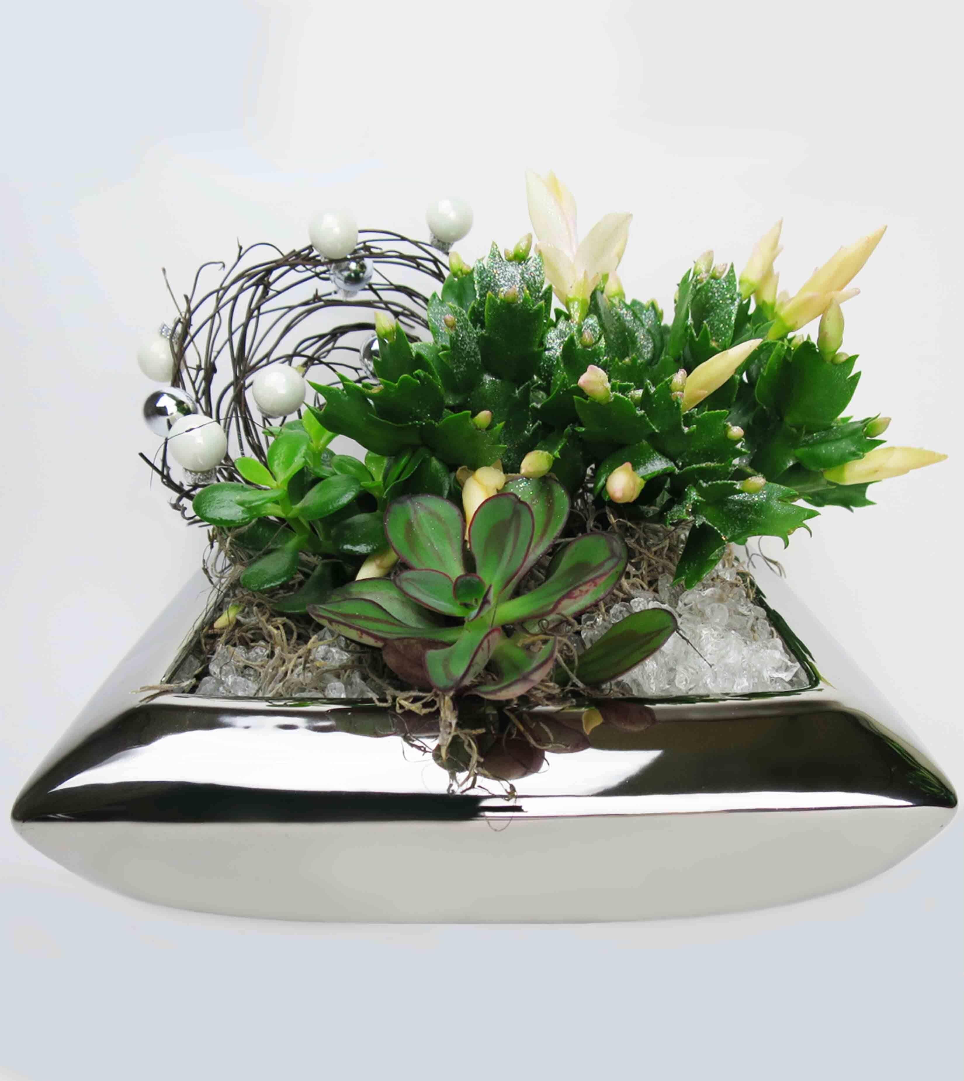 Ice and Succulents - Christmas planter withsucculents, yellow Christmas cactus and a miniature wreath,