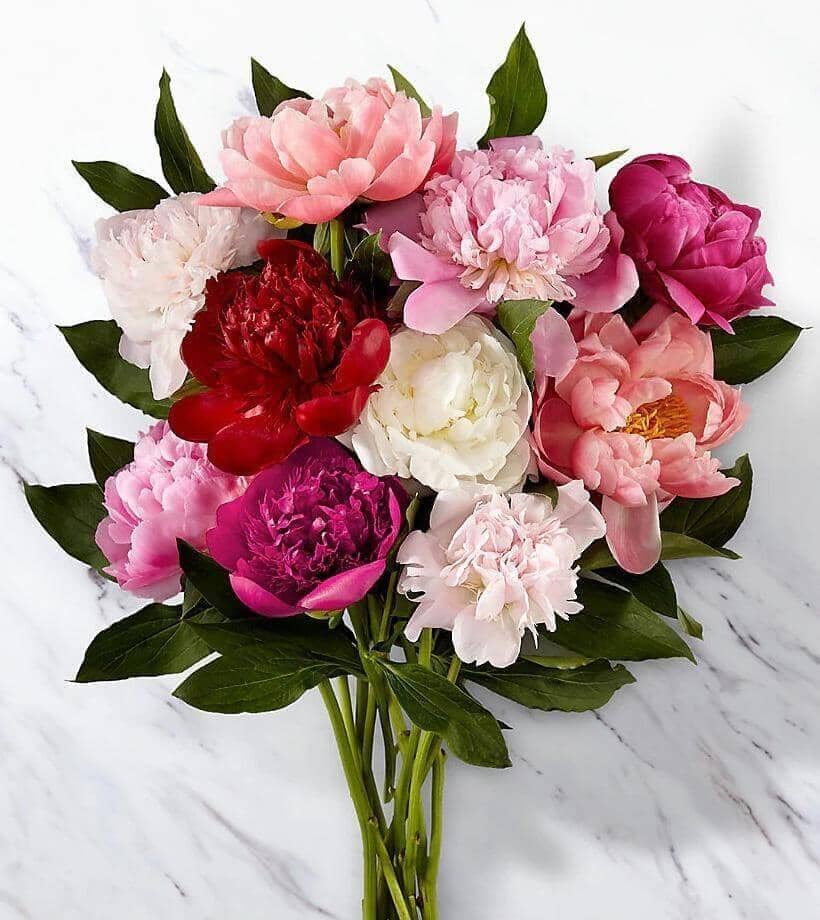 In Full Bloom™ Peony Bouquet