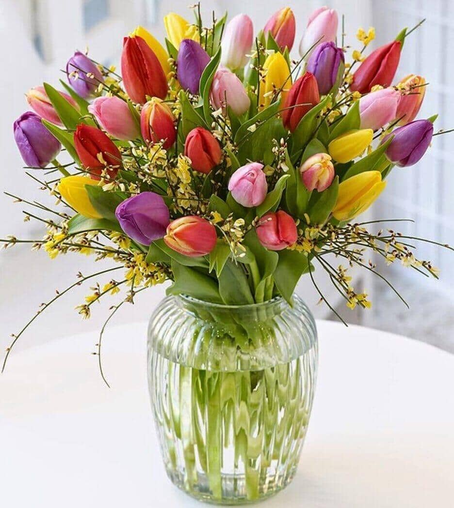 Mixed Tulip Vase - mixed tulips and ginestra