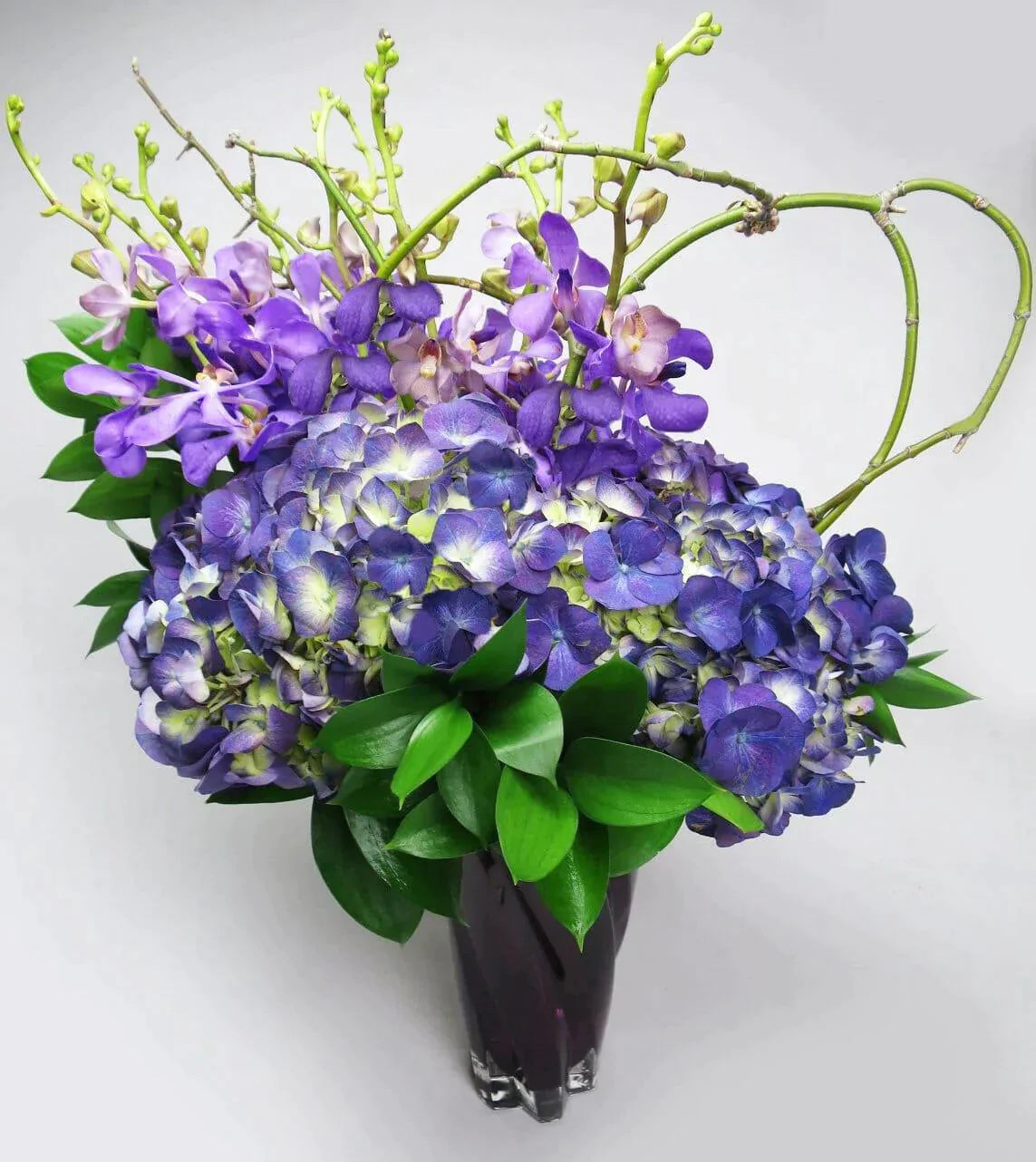 Mokara & Hydrangeas - purple mokara orchids, purple hydrangeas  in a vase