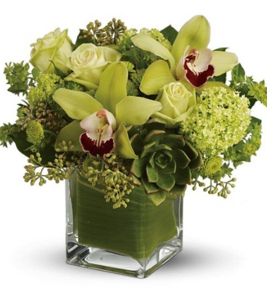 green cymbidium orchids echeveria succulents roses chrysanthemums viburnum bupleurum eucalyptus