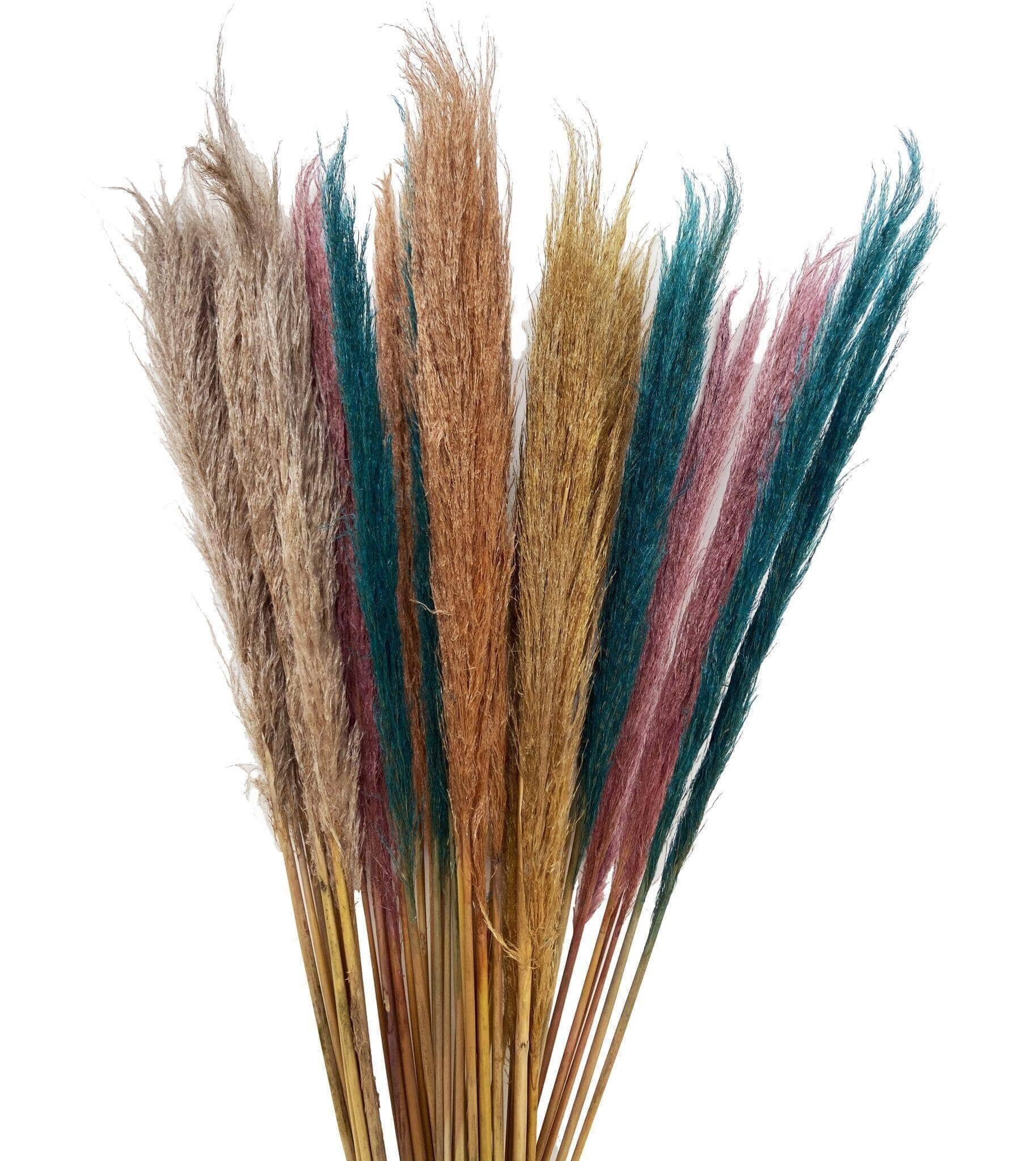 pampas grass