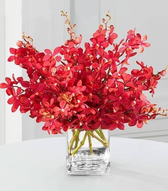 Rouge Reflections Mokara Orchid Bouquet - red orchid , vase arrangement