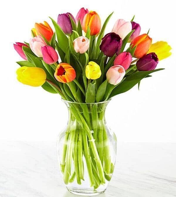 Rush of Colour Assorted Tulip - In a vase