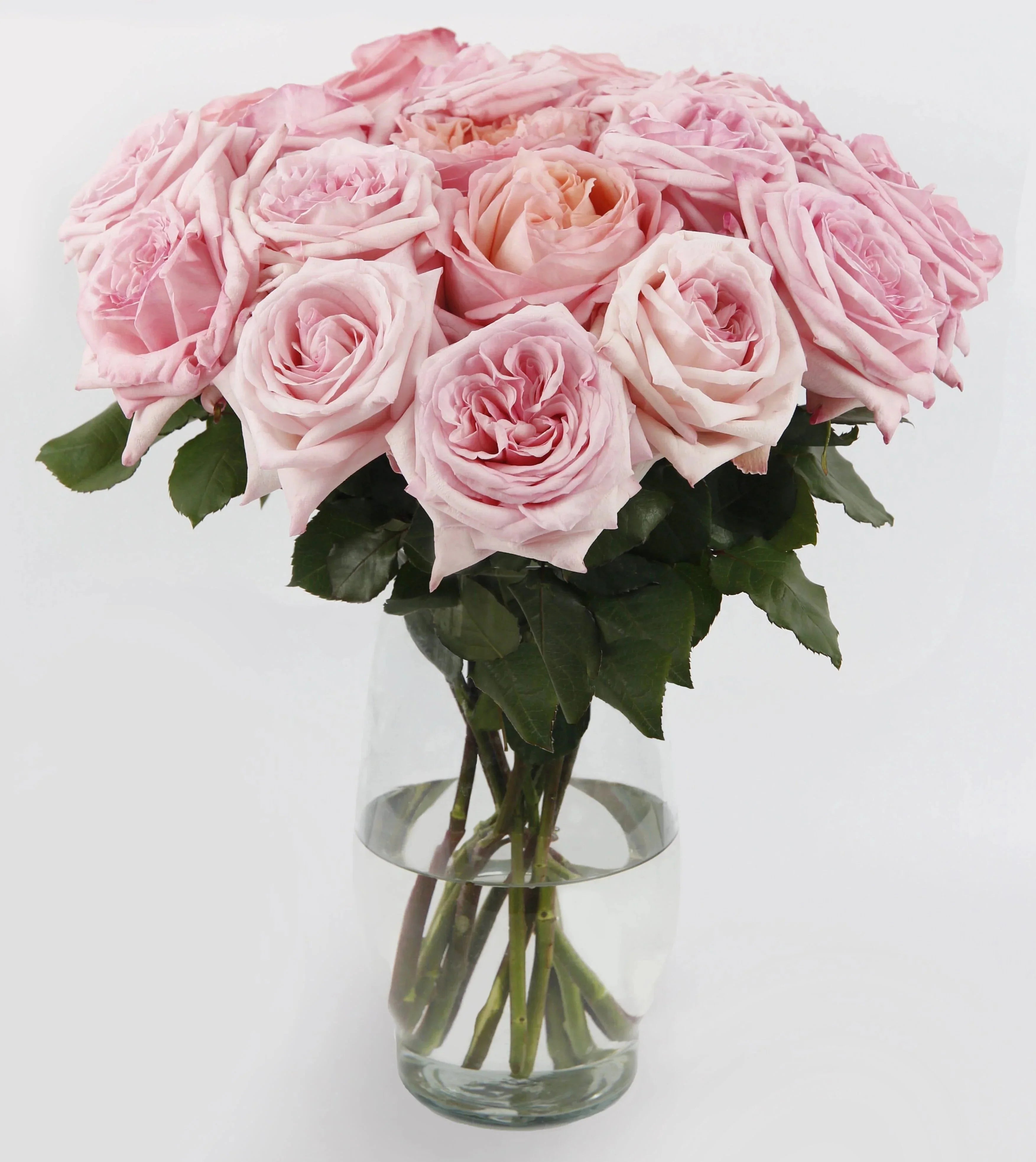 Scented Pink O’Hara Bouquet™