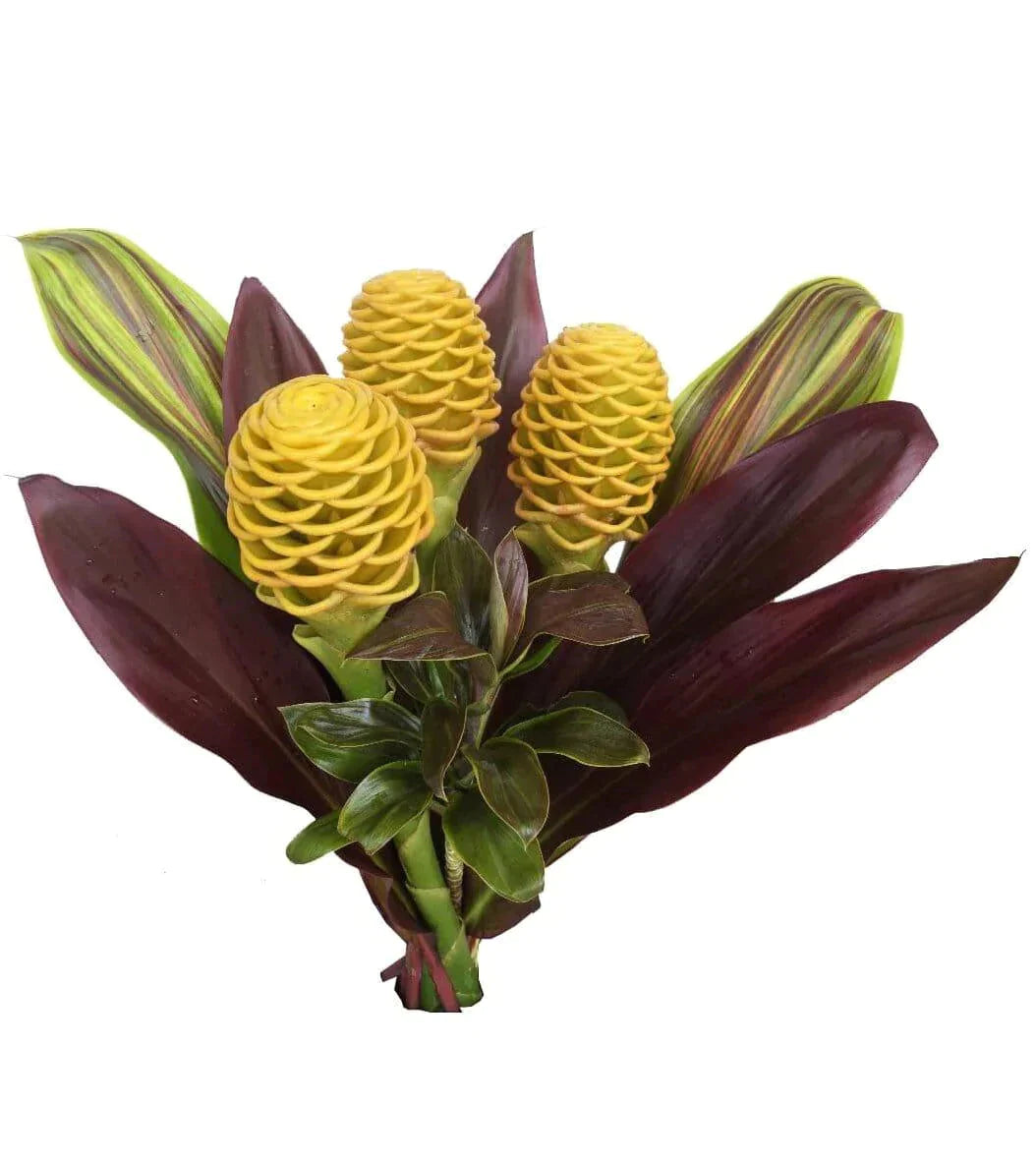 shampoo bouquets