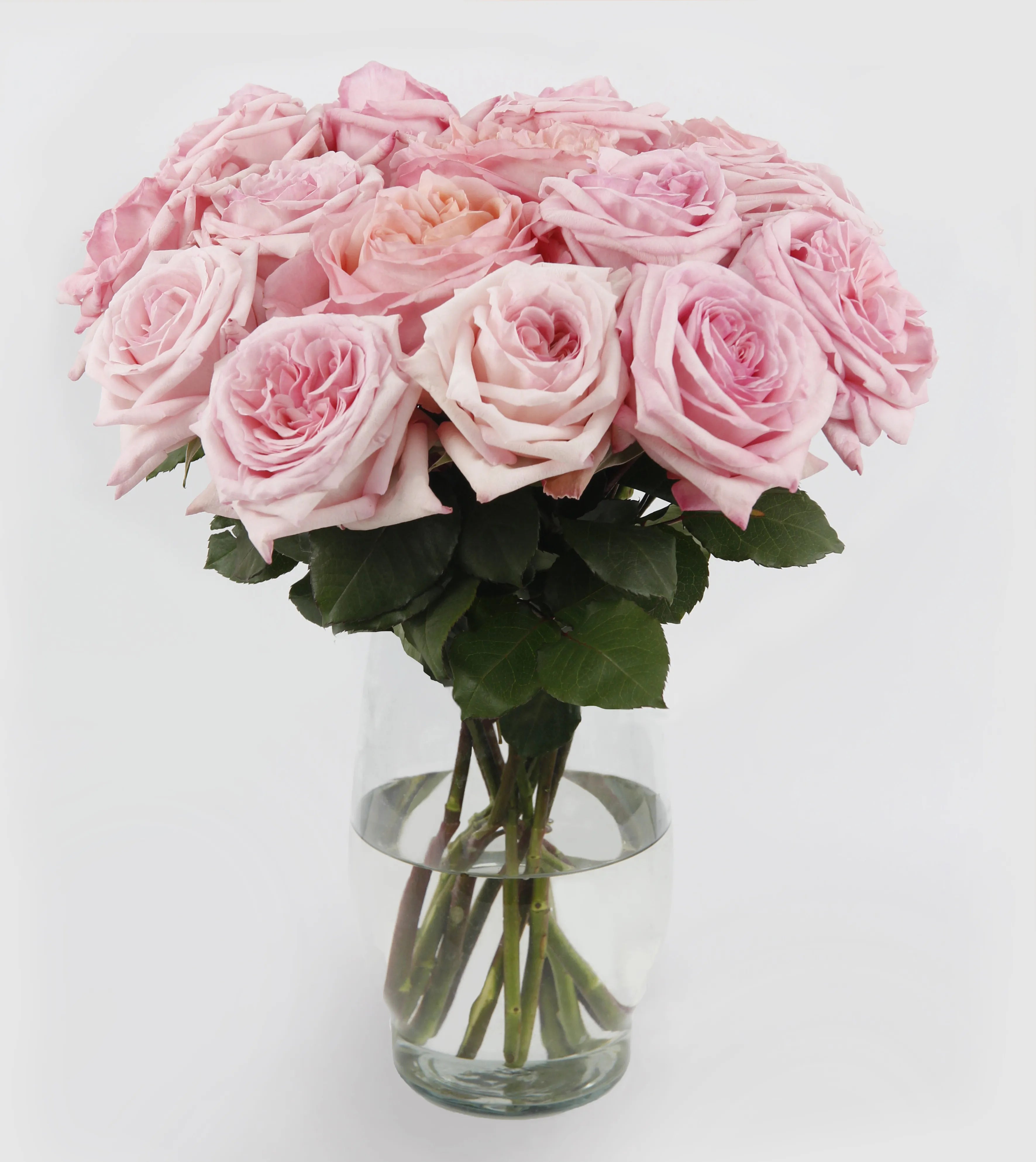 Scented Pink O’Hara Bouquet™