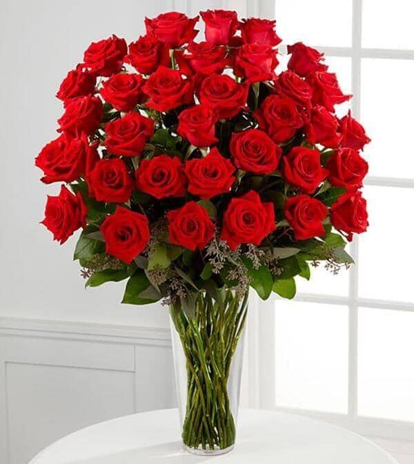 Royal Red Roses Bunch Of Red Rose Flower