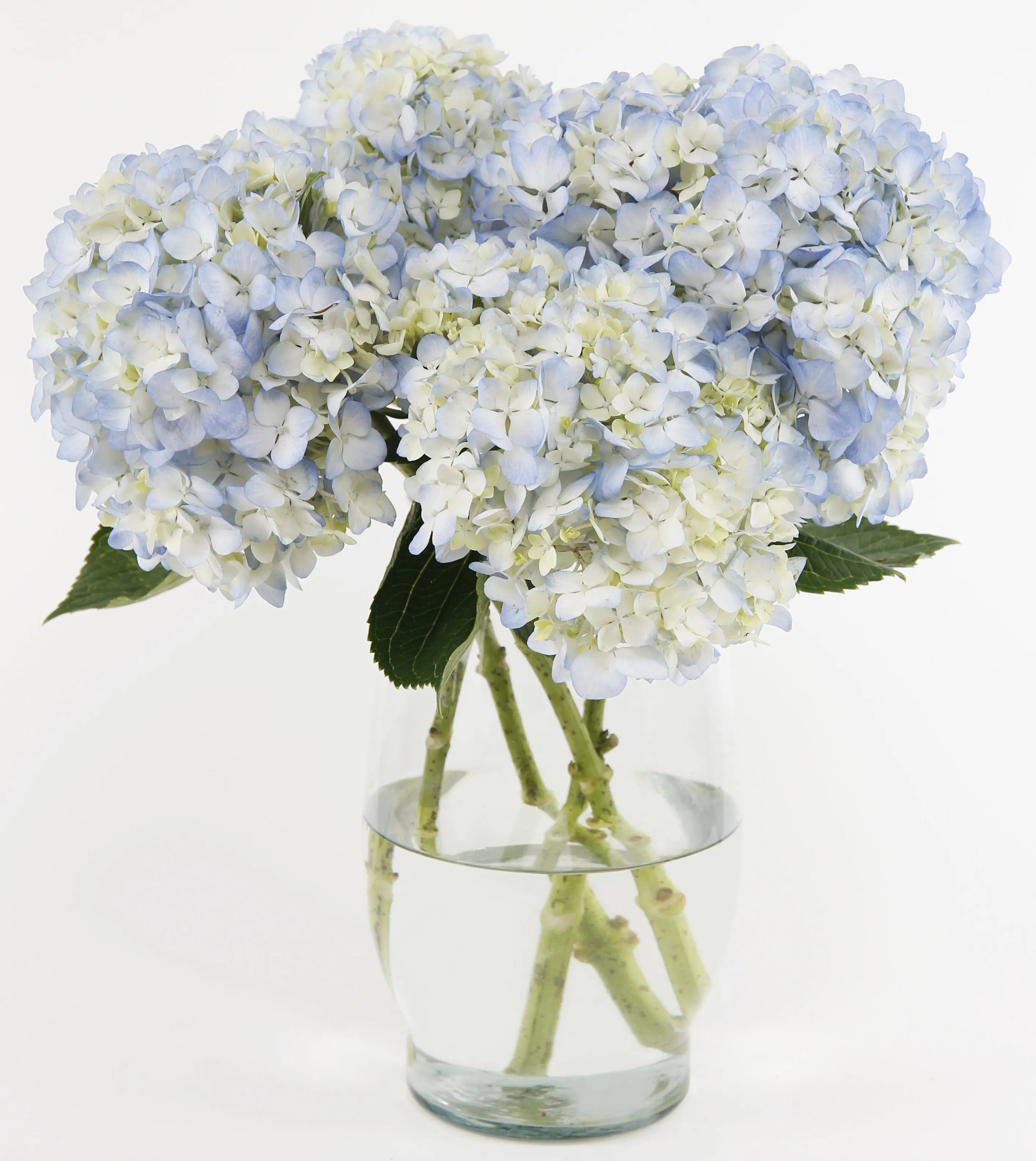 Joyful Inspirations™ Bouquet