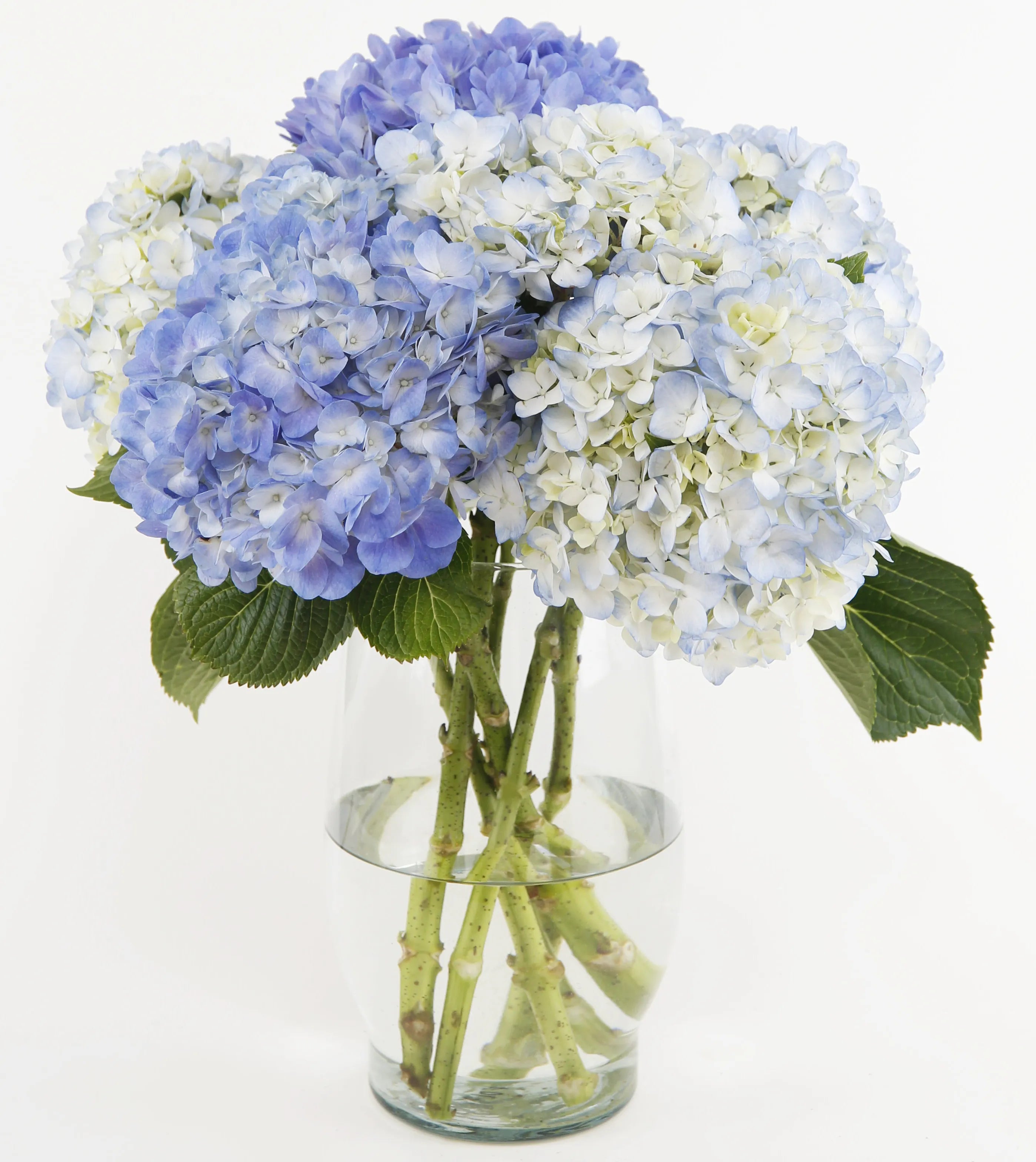 Joyful Inspirations™ Bouquet