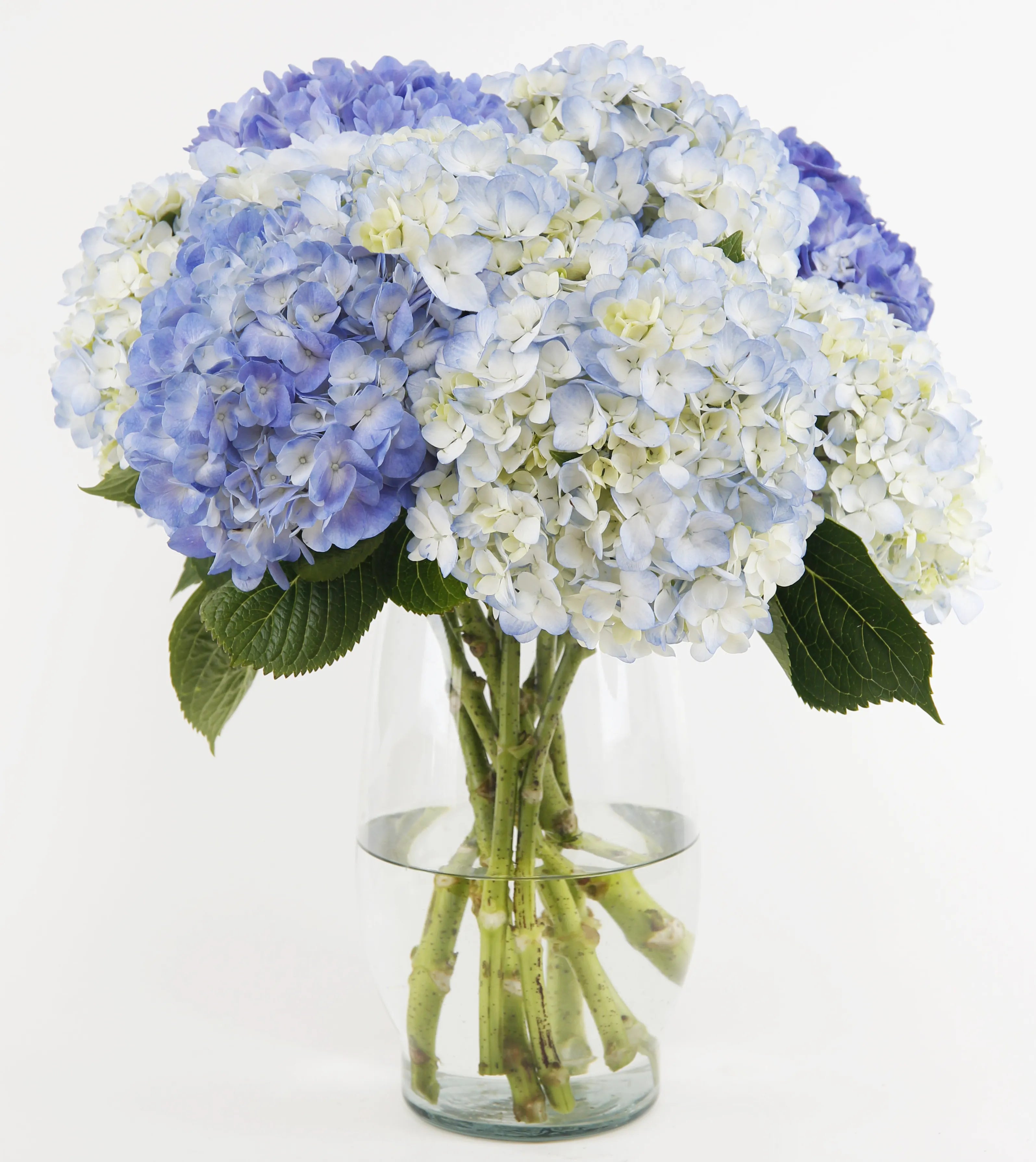 Joyful Inspirations™ Bouquet