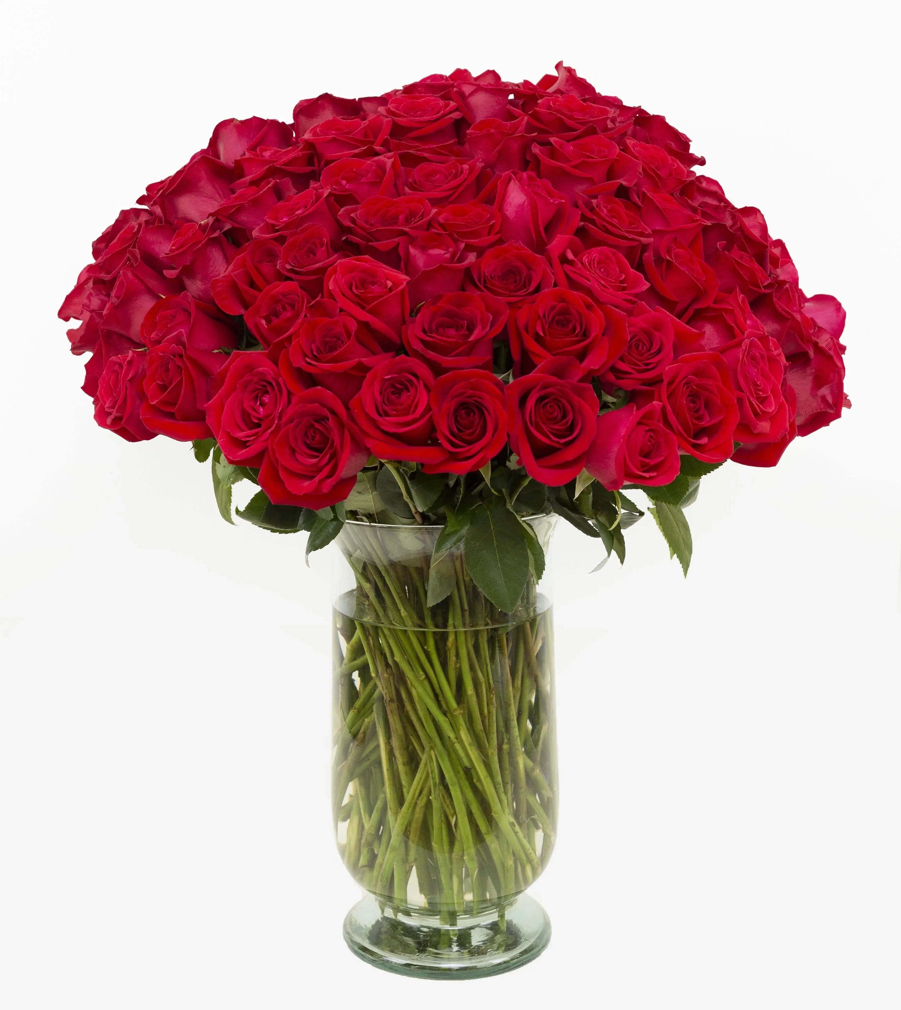 100 Red Roses | 100 Long Stem Red Roses