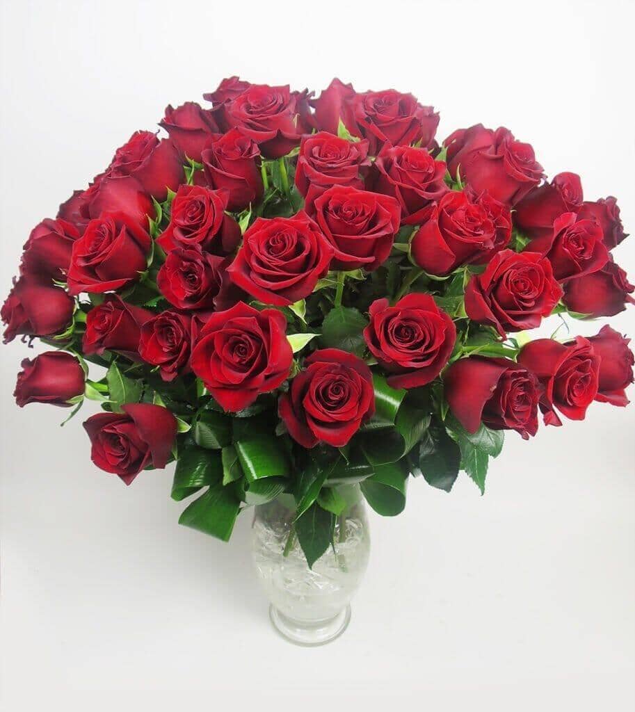 48 Stems Red Rose Arrangement - Flower Company