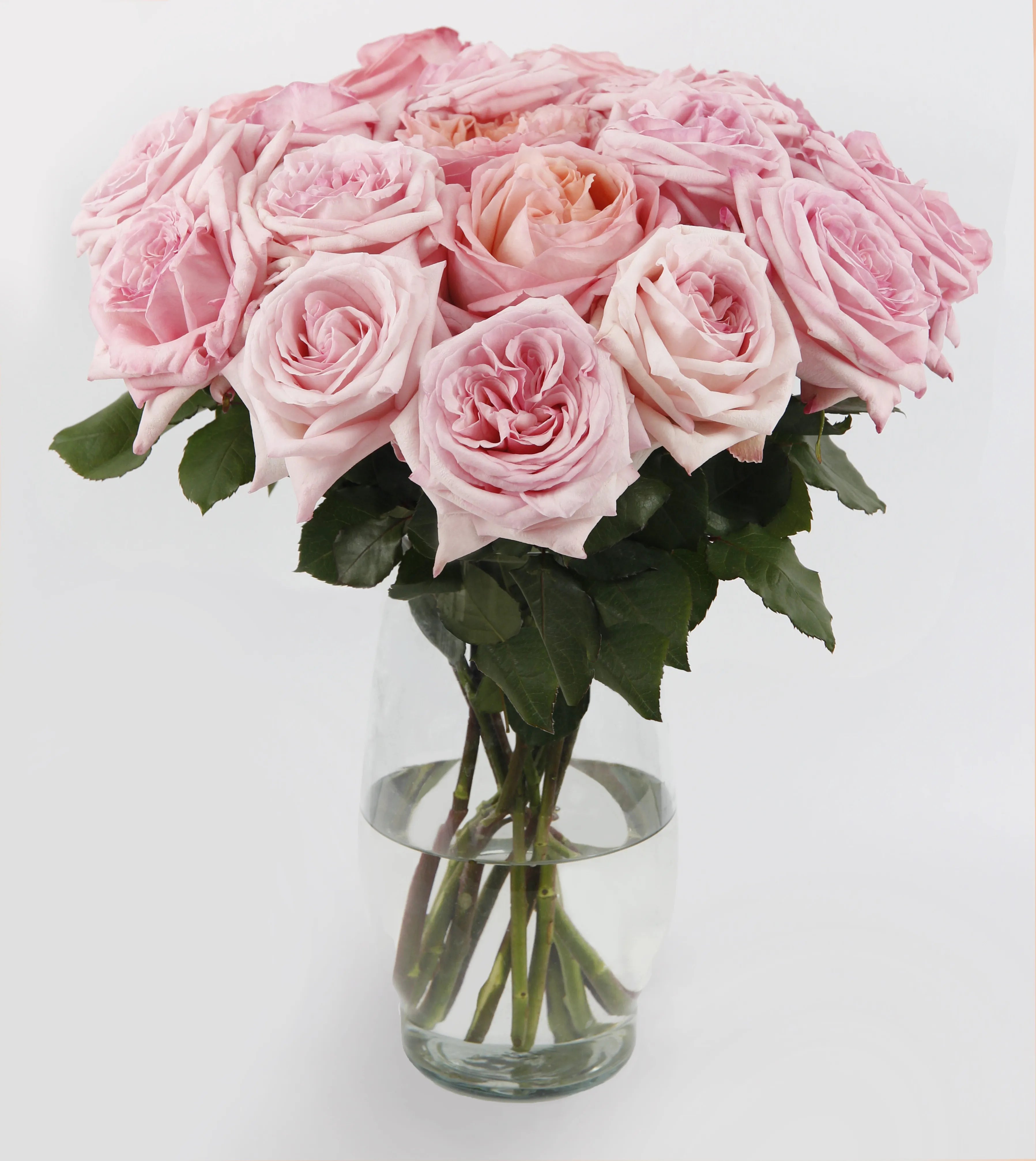 Scented Pink O’Hara Bouquet™