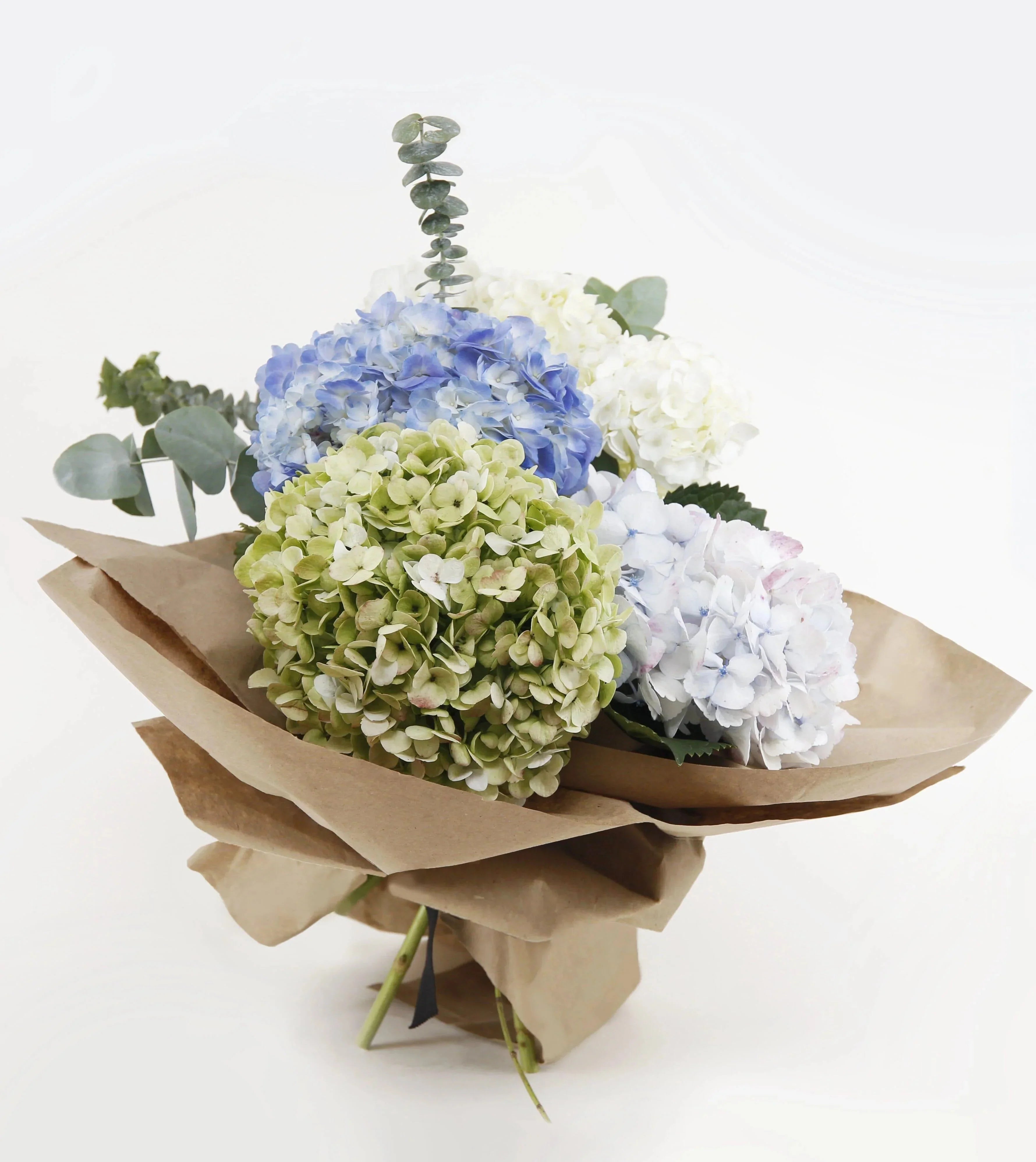 Image of Cheap bouquet of hydrangeas in different colors