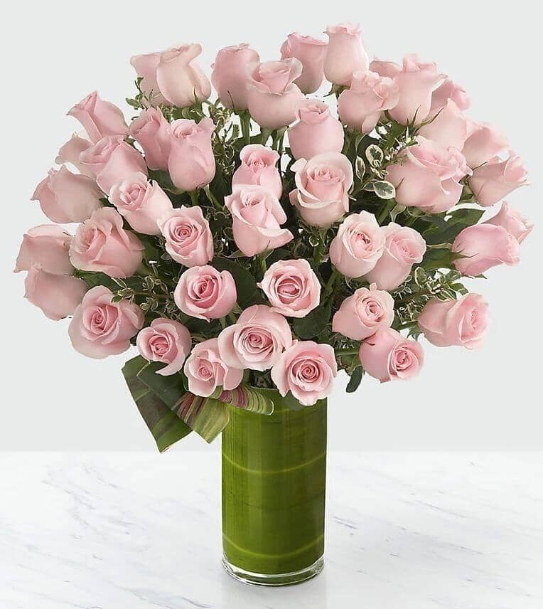 Delighted Luxury Rose Bouquet - Vase of pink roses, four dozen pink roses, spectacular pink roses
