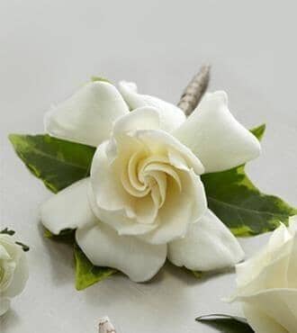 Gardenia Boutonniere™