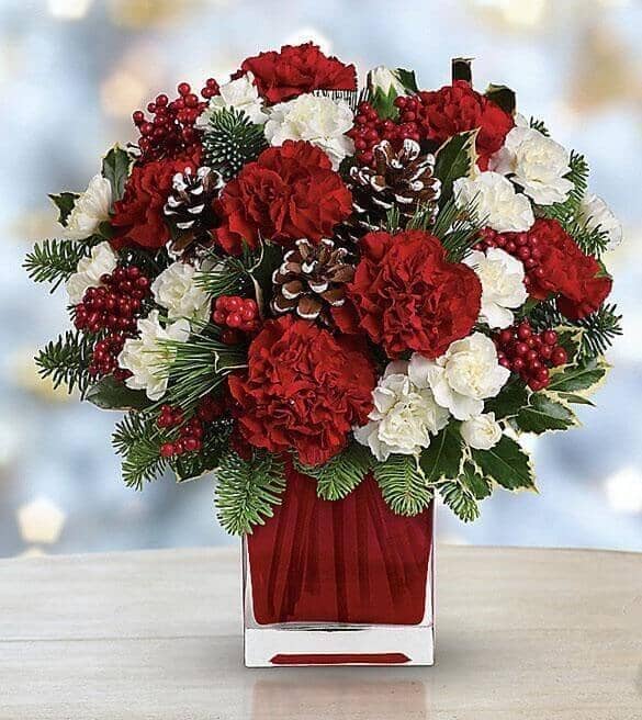 Make Merry by Teleflora - red carnations , white mini carnations , noble fir , white pine , holly , holiday greens , vase arrangement