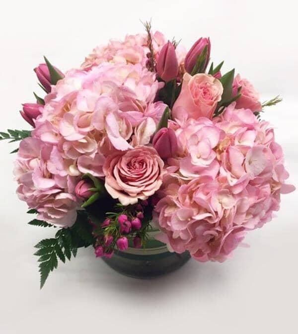 Pink Hydrangea Arrangement - pink hydrangea , roses , boronia , tulips