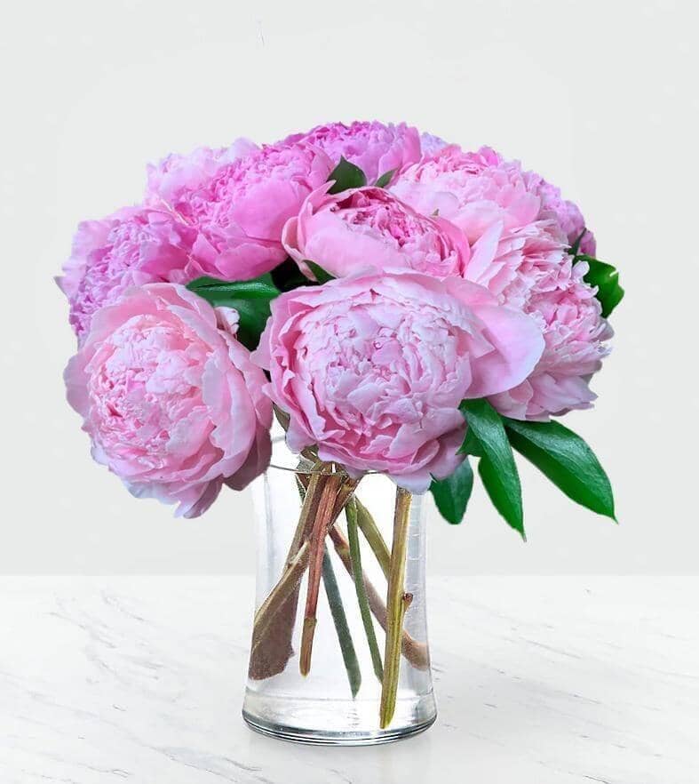 The Royal Touch Bouquet - Peonies Arrangement - Flower Company