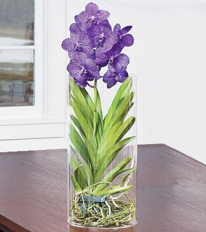 Vividly Violet Vanda Orchid™