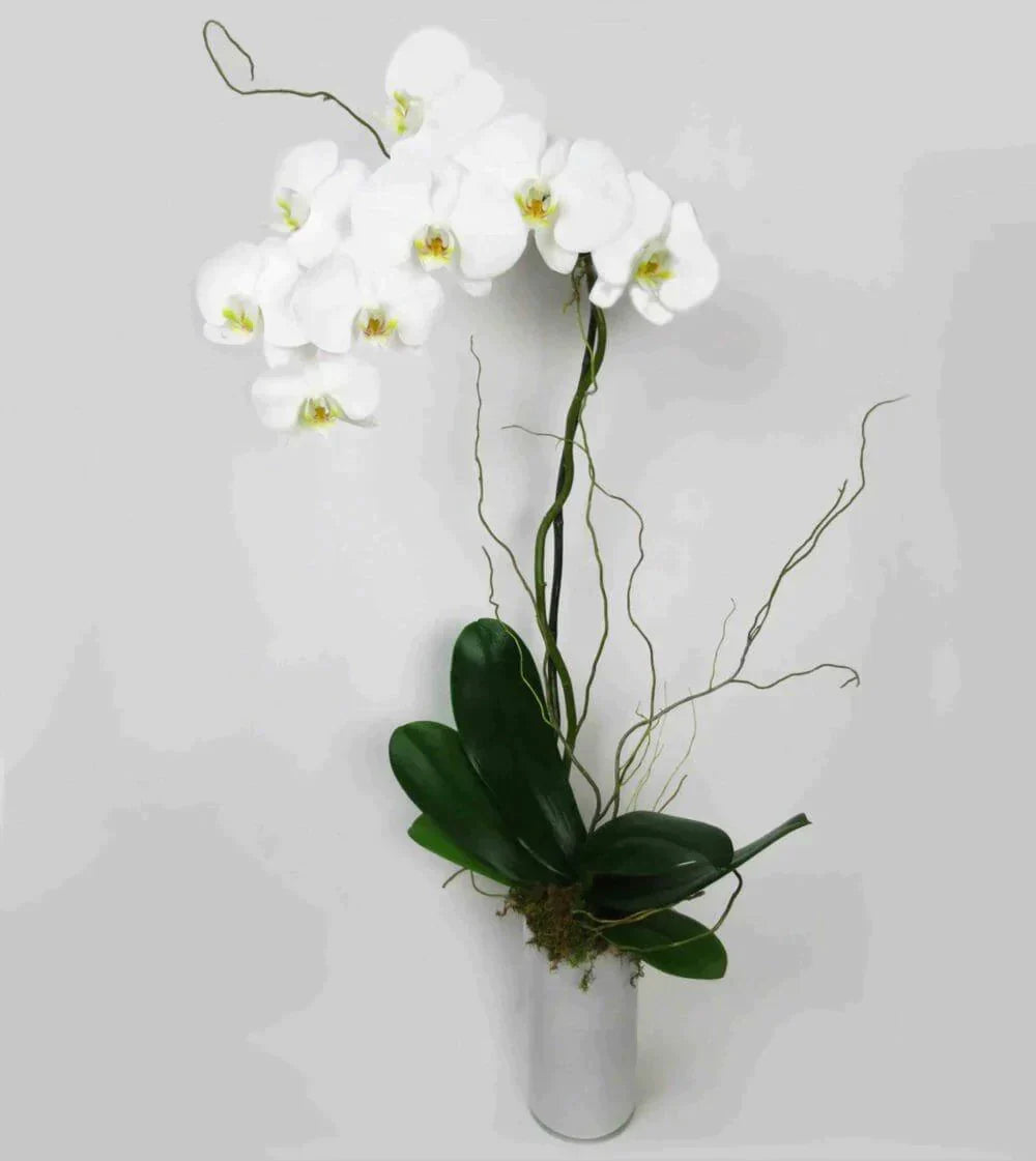 White Orchid Planter™