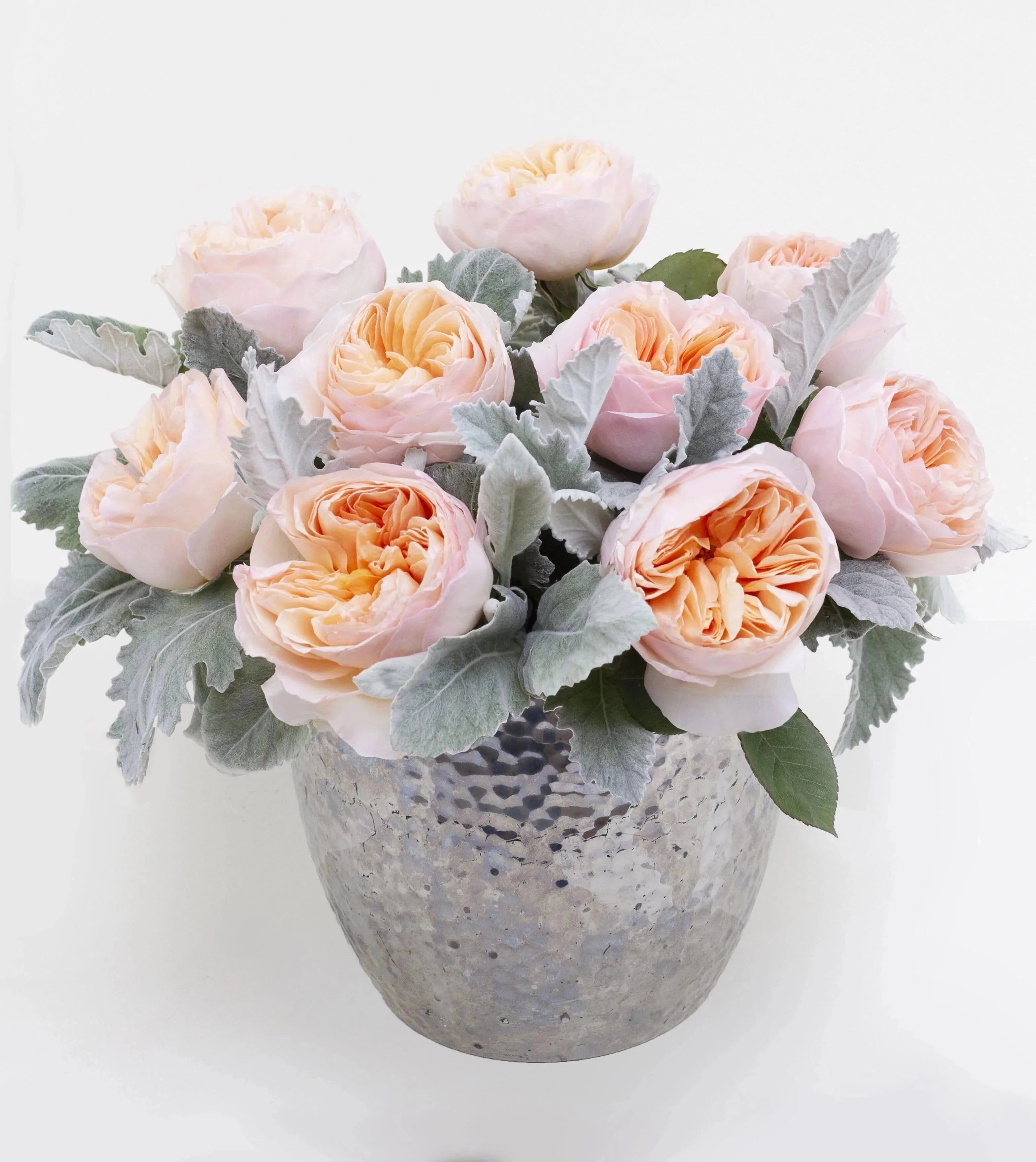 Woodland Beauty Luxury Rose Bouquet Fuller- vase of Juliet Garden Roses and dusty miller